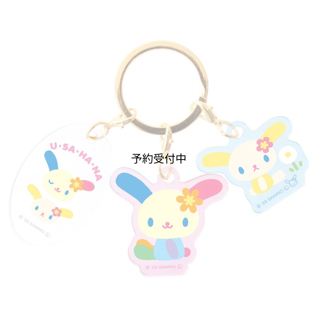 画像1: サンリオ３チャームキーホルダー ウサハナ (1)