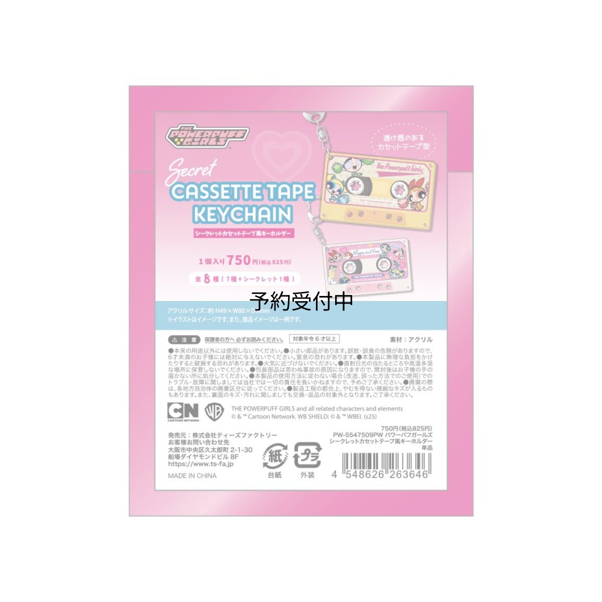 画像1: ティーズファクトリー パワパフシークレットカセットテープ風キーホルダー 単品８種 ＰＷ?５５４７５０９ＰＷ ※何が出るかはお楽しみ (1)