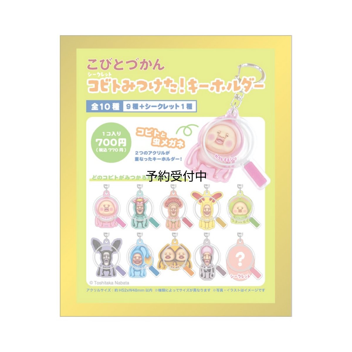 画像1: ティーズファクトリー こびとづかんシークレットコビトみつけた！キーホルダー単品（１０種） ＫＤ?５５４７９２５ ※何が出るかはお楽しみ (1)