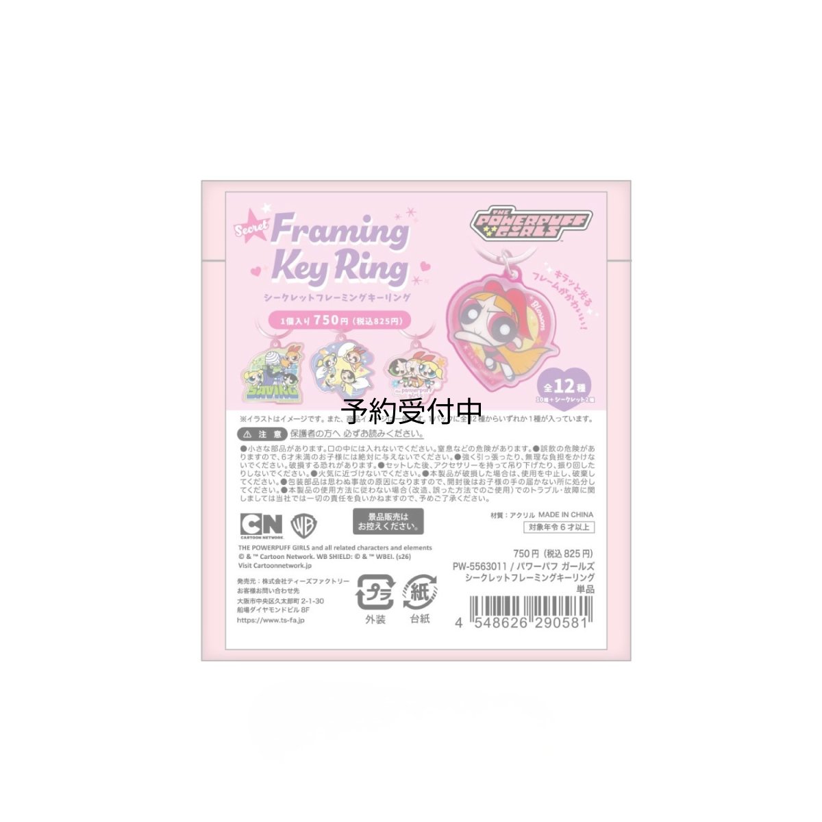 画像1: ティーズファクトリー パワーパフガールズシークレットフレーミングキーリング 単品（１２種） ＰＷ?５５６３０１１ ※何が出るかはお楽しみ (1)