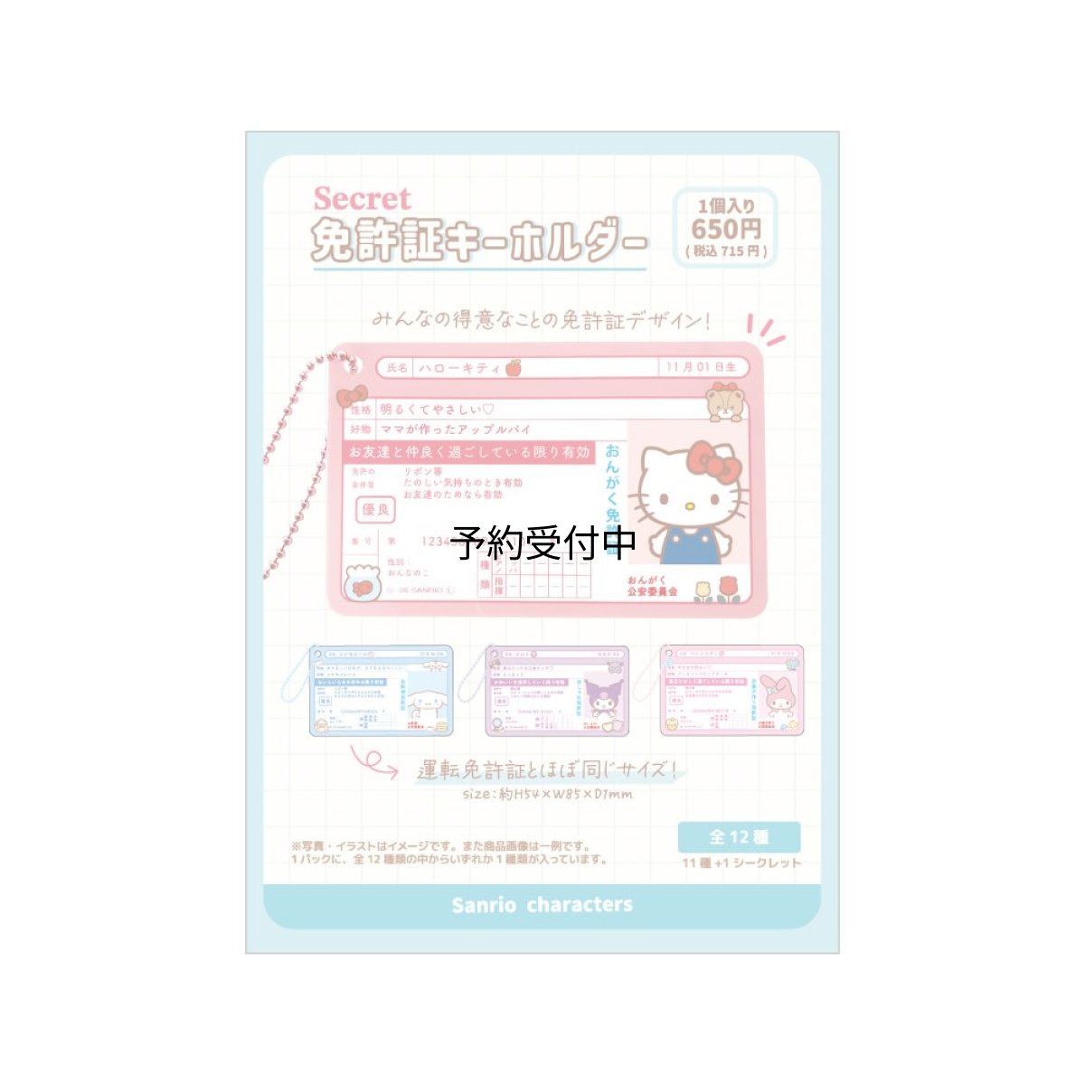 画像1: ティーズファクトリー サンリオキャラクターズシークレット免許証キーホルダー 単品（１２種） ＳＲ?５５６３０３７ ※何が出るかはお楽しみ (1)
