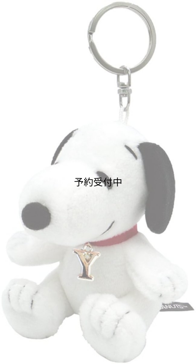 画像1: ナカジマコーポレーション ＳＮ イニシャルＭＣ座り Ｙ １８２４０１?２３ (1)