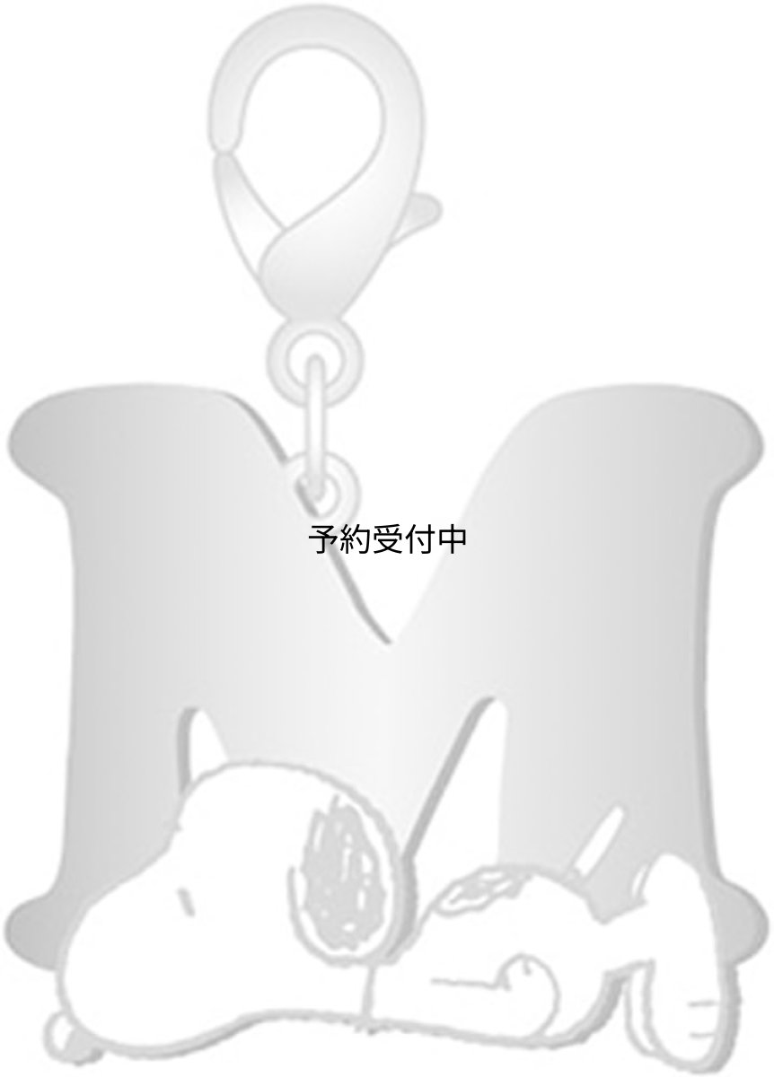 画像1: ナカジマコーポレーション ＳＮ イニシャルチャムコレ Ｍ １８３０４０?２３ (1)