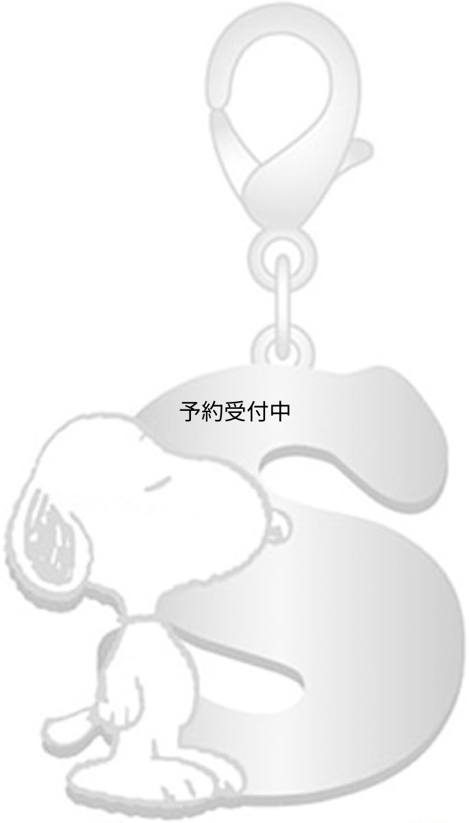 画像1: ナカジマコーポレーション ＳＮ イニシャルチャムコレ Ｓ １８３０７１?２３ (1)