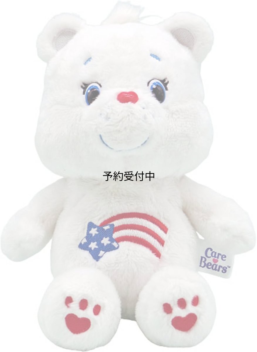 画像1: ナカジマコーポレーション ケアベア ソフトＳぬいぐるみ アメリカケアベア １８３３８５?２３ (1)