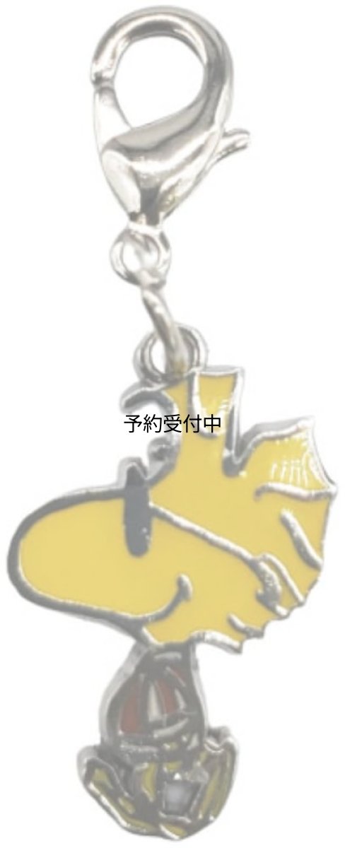 画像1: ナカジマコーポレーション ＳＮ チャムコレ スカジャン ＷＳ １８４５７３?２３ (1)
