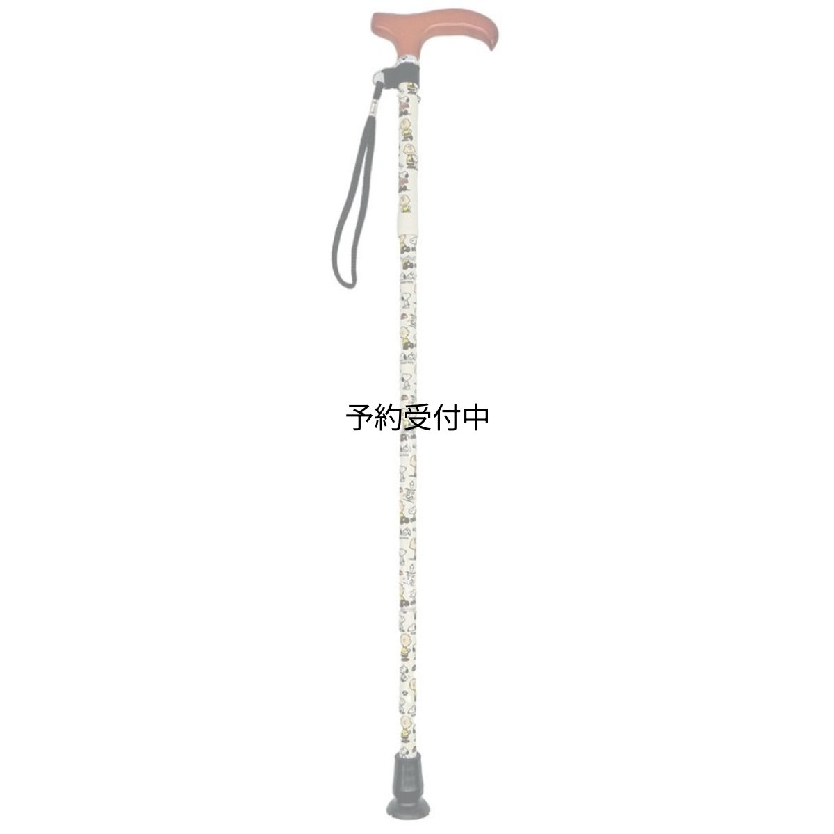 画像1: ナカジマコーポレーション ＳＮ ステッキ ＳＮ＆ＣＢ ＢＥ １８４９４８?２３ (1)