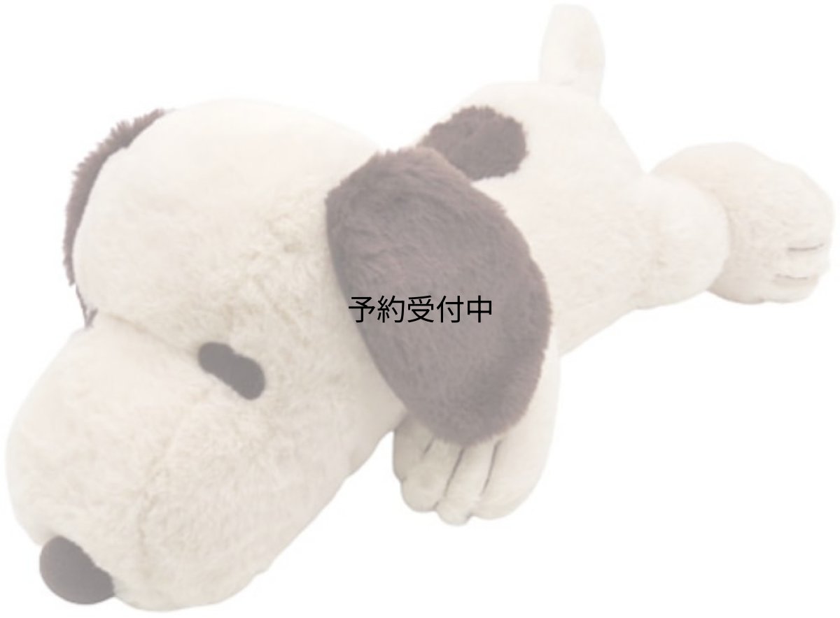 画像1: ナカジマコーポレーション（Ｎａｋａｊｉｍａ Ｃｏｒｐｏｒａｔｉｏｎ） ＳＮ ふわふわはいはい Ｍ モカ １８６７５１?２３ (1)