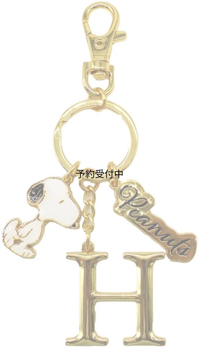画像1: ナカジマコーポレーション ＳＮ イニシャルＫＲ Ｈ １９１９１５?２４ (1)