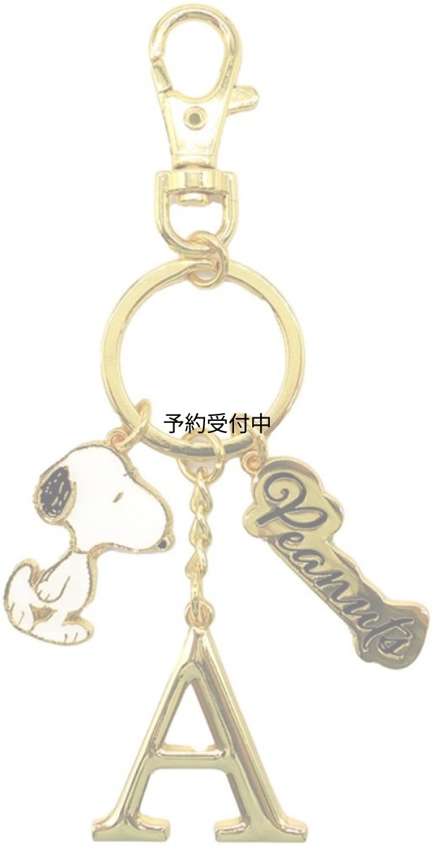 画像1: ナカジマコーポレーション ＳＮ イニシャルＫＲ Ｎ １９１９４６?２４ (1)