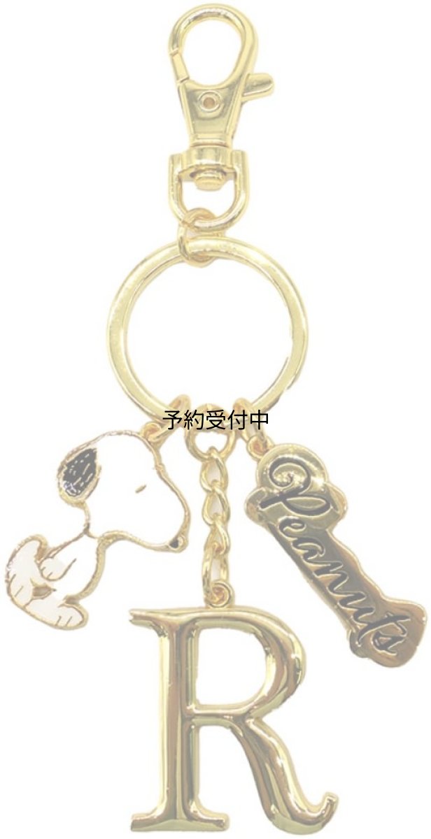 画像1: ナカジマコーポレーション ＳＮ イニシャルＫＲ Ｒ １９１９５３?２４ (1)