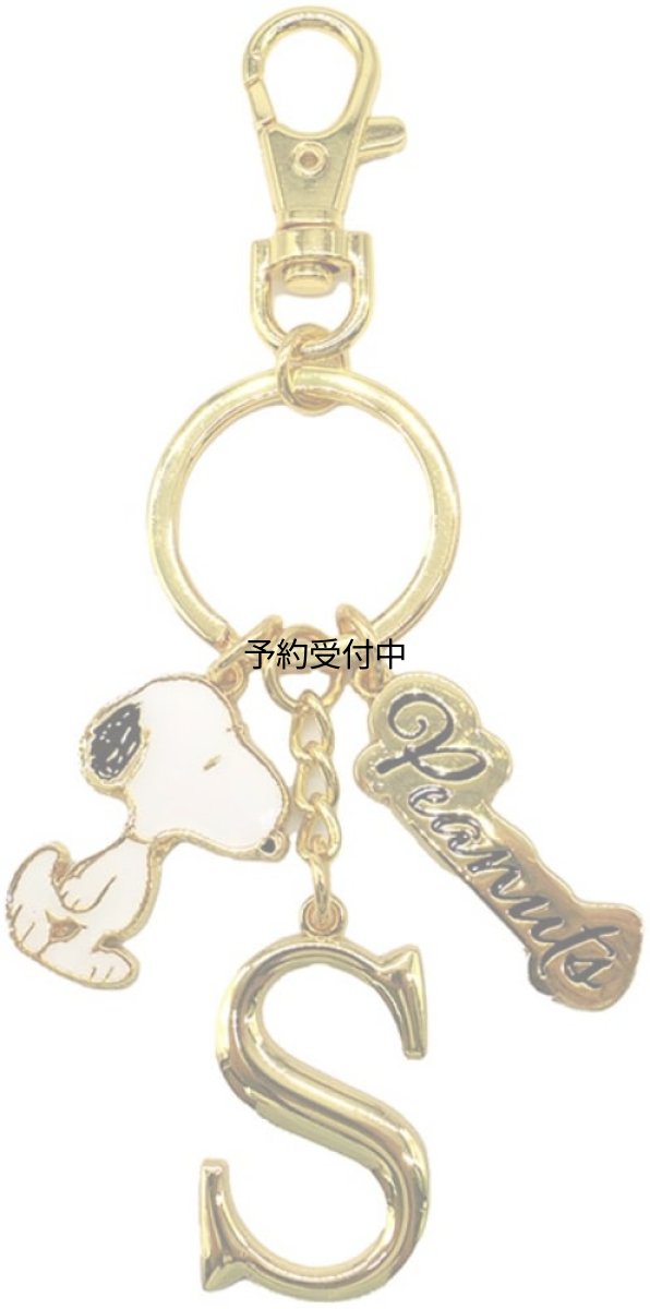画像1: ナカジマコーポレーション ＳＮ イニシャルＫＲ Ｓ １９１９６０?２４ (1)