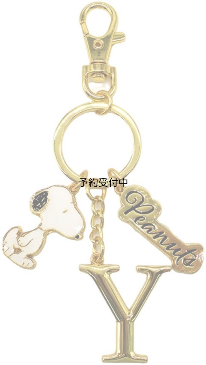 画像1: ナカジマコーポレーション ＳＮ イニシャルＫＲ Ｙ １９１９７７?２４ (1)