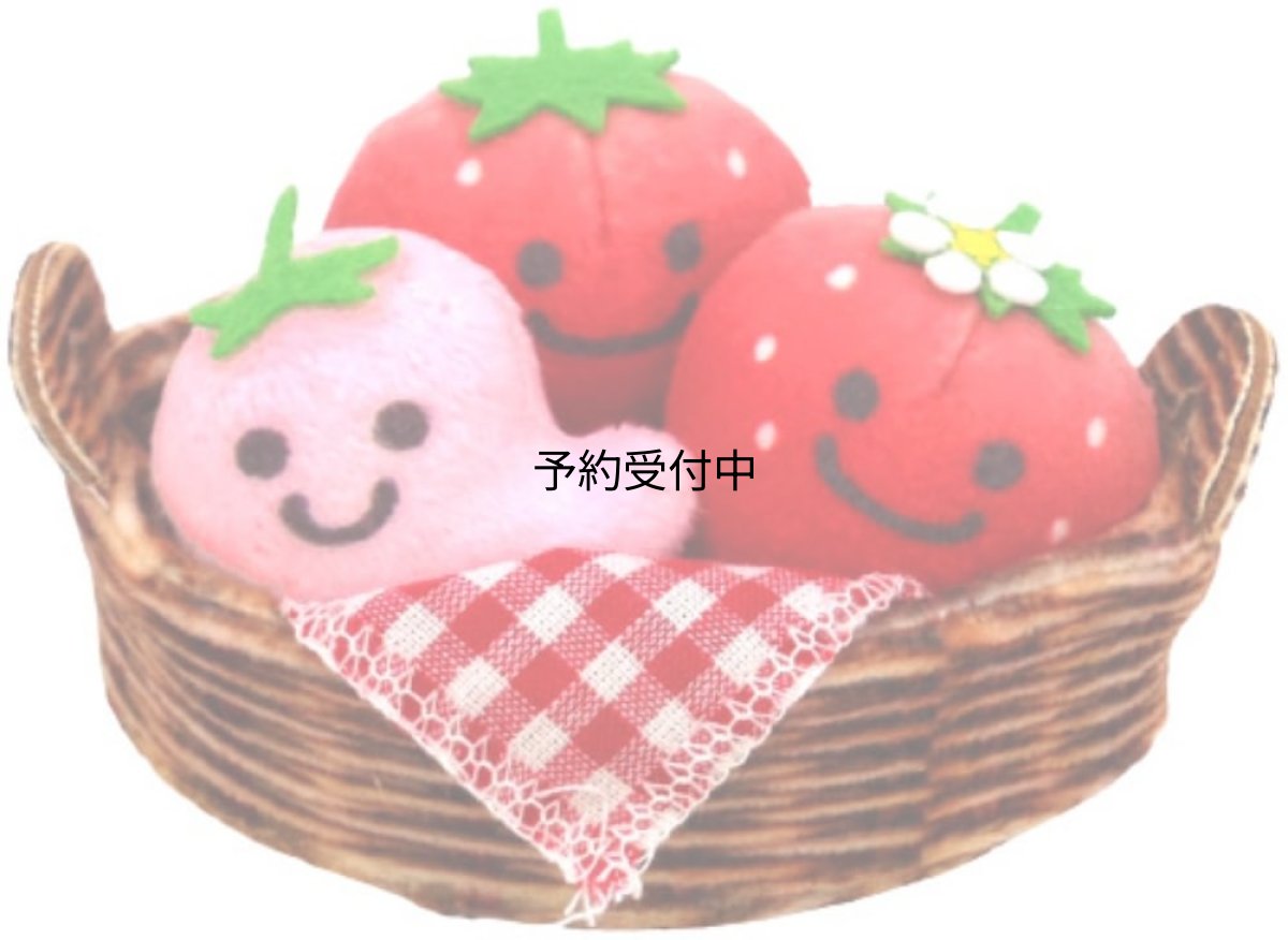 画像1: ナカジマコーポレーション ピクルス いちご いちご狩りセット １９２３３２?２４ (1)