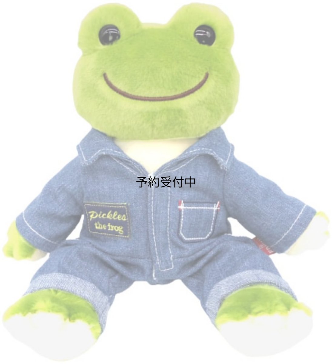 画像1: ナカジマコーポレーション ＥＤＷＩＮ×ピクルス つなぎ １９２３４９?２４ (1)