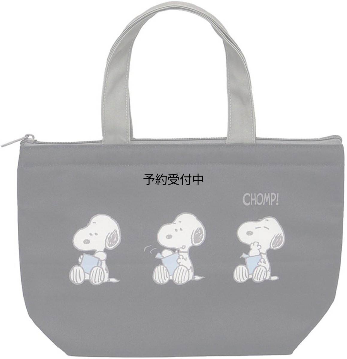 画像1: ナカジマコーポレーション ＳＮ 保冷保温ミニトート 座り １９３６５０?２４ (1)
