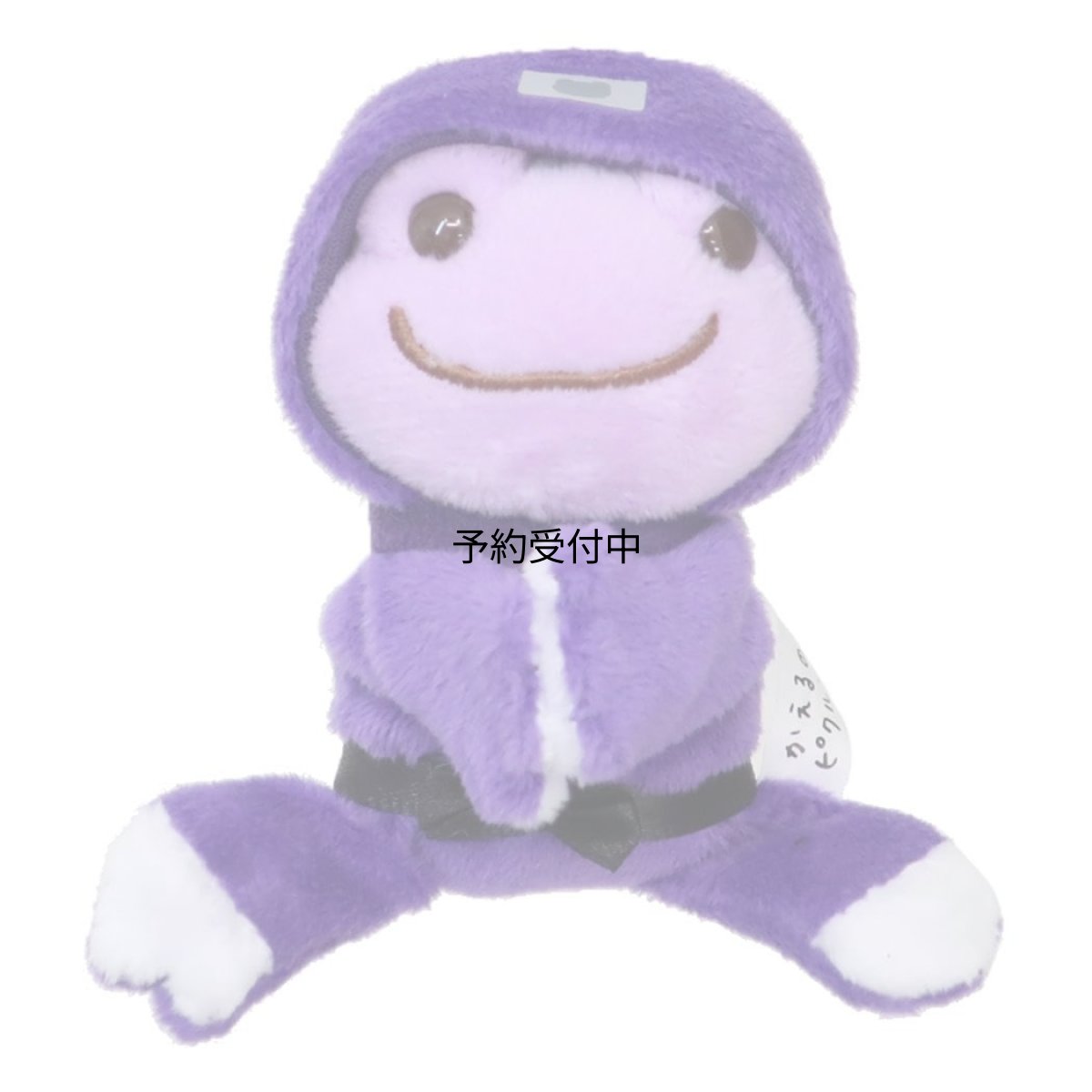 画像1: かえるのピクルス磁石入り マスコットミニぬいぐるみマグネット 忍者 ＰＵ (1)