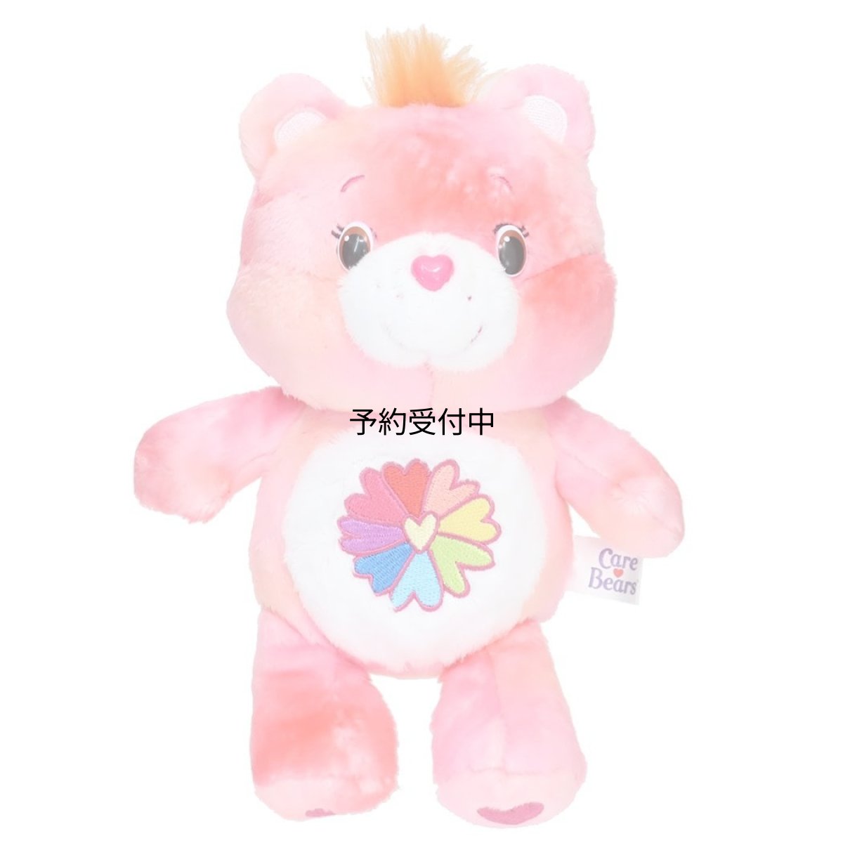 画像1: ケアベアぬいぐるみソフトプラッシュドール Ｓ フラワーパワーベア ＣａｒｅＢｅａｒｓ (1)