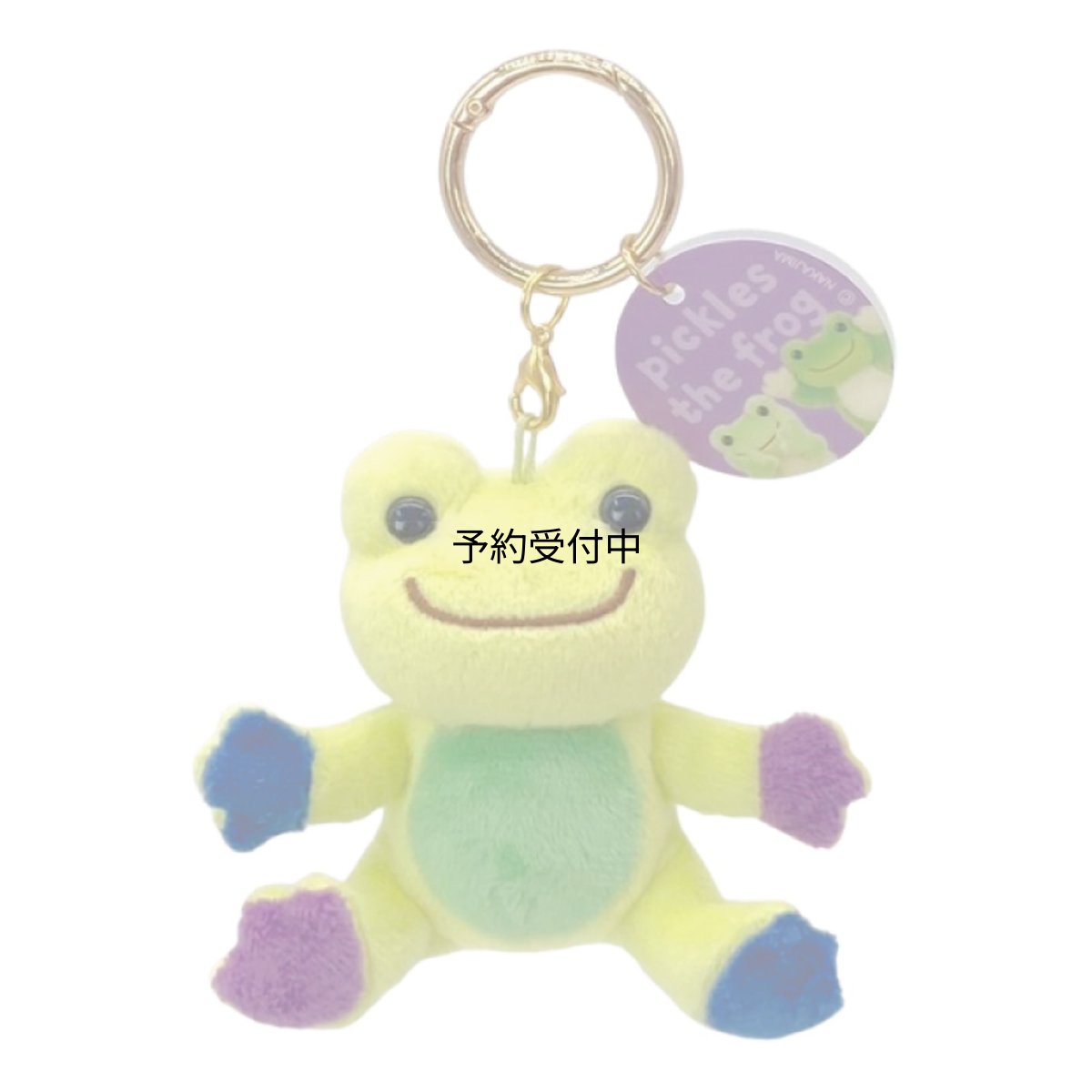 画像1: ナカジマコーポレーション ピクルス ｐｈｏｔｏ カラビナＭＣ ＧＲ ２００７８５?２４ (1)
