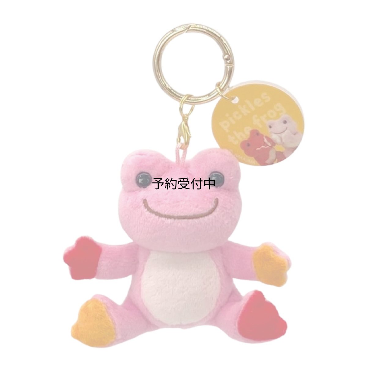 画像1: ナカジマコーポレーション ピクルス ｐｈｏｔｏ カラビナＭＣ ＰＫ ２００７９２?２４ (1)