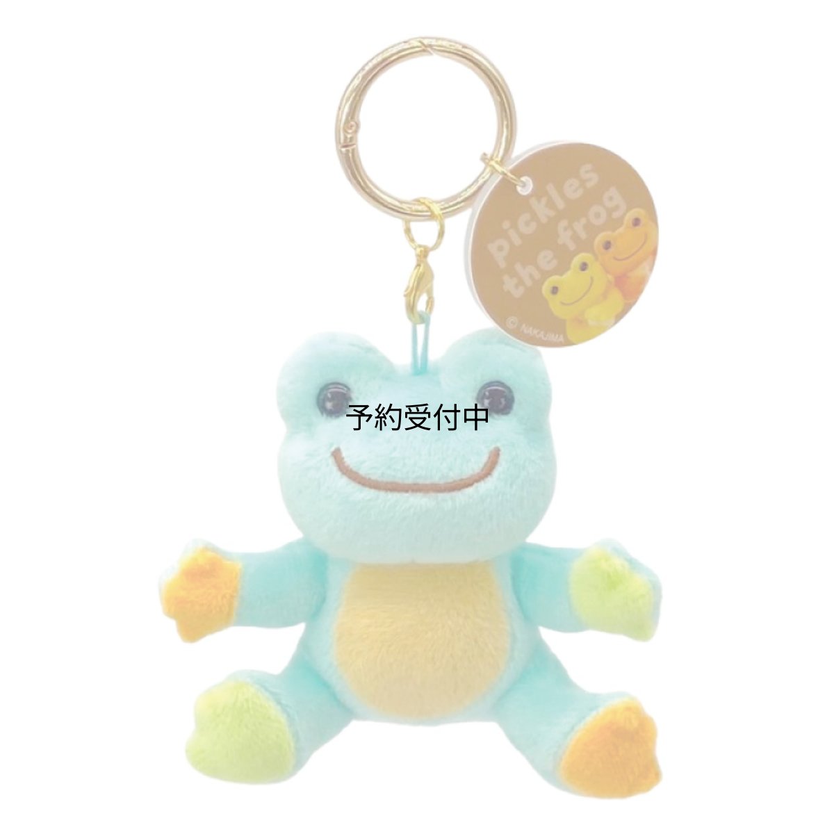 画像1: ナカジマコーポレーション ピクルス ｐｈｏｔｏ カラビナＭＣ ＭＴ ２００８０８?２４ (1)
