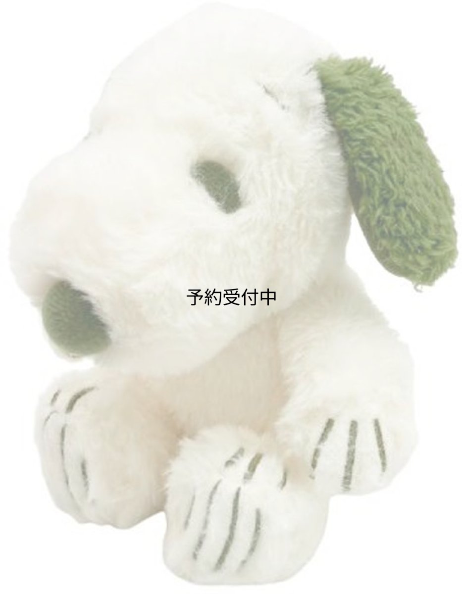画像1: ナカジマコーポレーション レインボーカラーＦＵＷＡＫＵＴＡ スヌーピー グリーン ２１０００５?２５ (1)