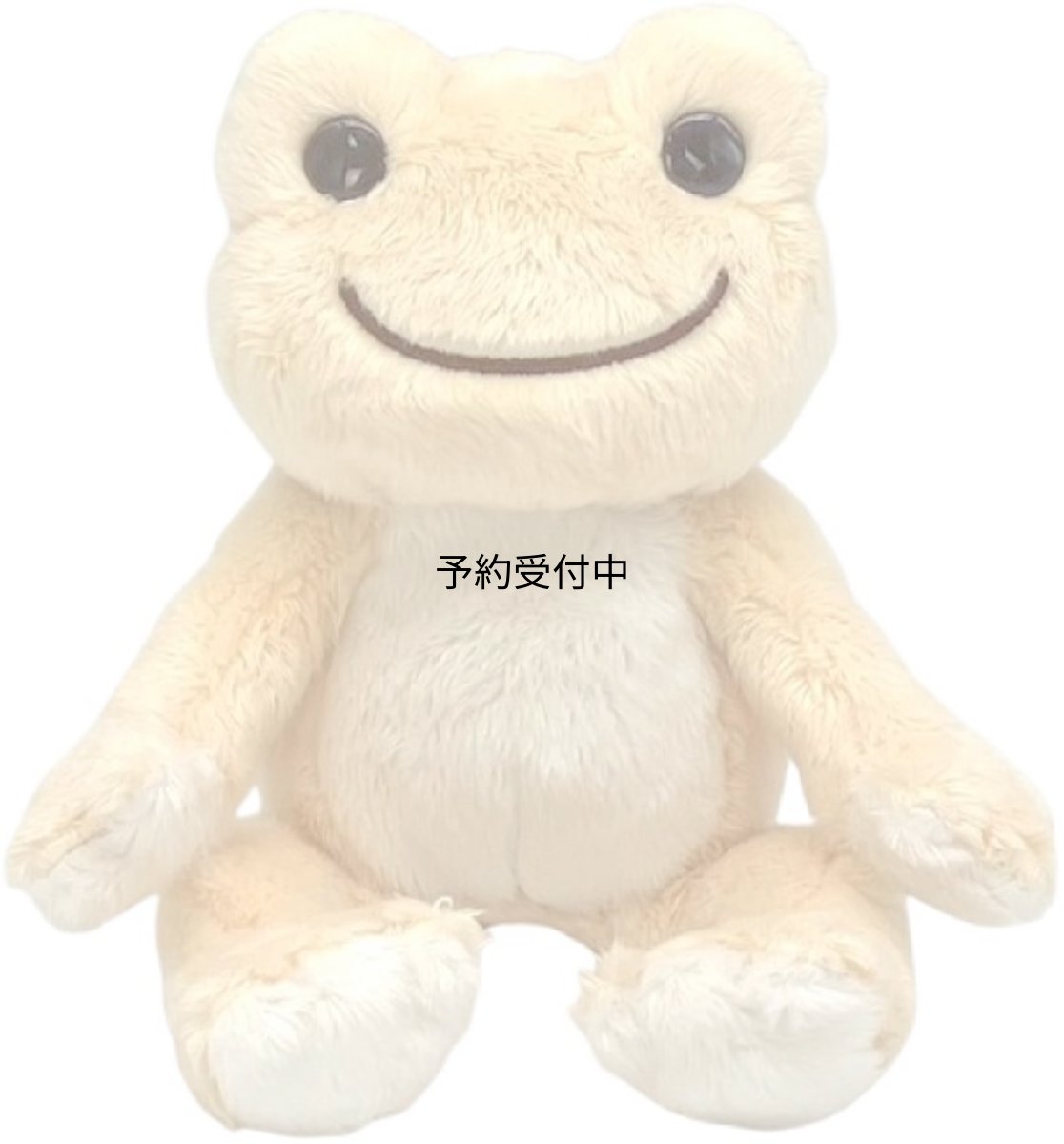 画像1: ナカジマコーポレーション ポケットピクルス こうじ ２１１２００?２５ (1)