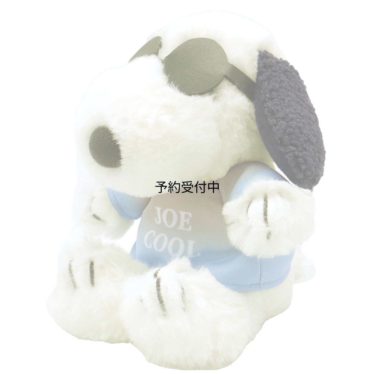 画像1: ナカジマコーポレーション ＳＮ グラデＪＣ ＦＵＷＡＫＵＴＡ ２１４１６４?２５ (1)