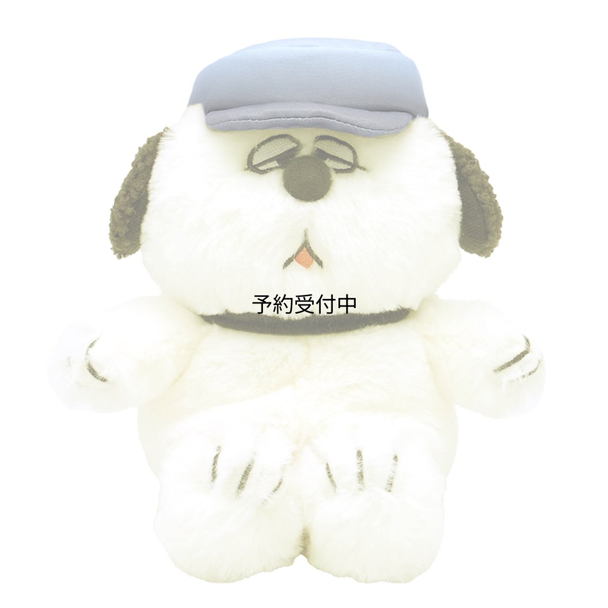 画像1: ナカジマコーポレーション ＳＮ グラデＪＣ ＦＵＷＡＫＵＴＡ ＯＬ ２１４１７１?２５ (1)