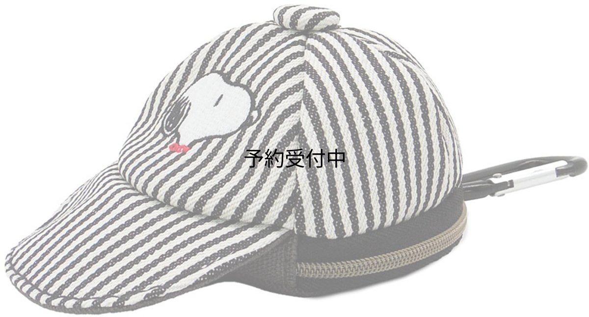 画像1: ナカジマコーポレーション スヌーピー キャップポーチ ヒッコリー ２１６６４９?２５ (1)