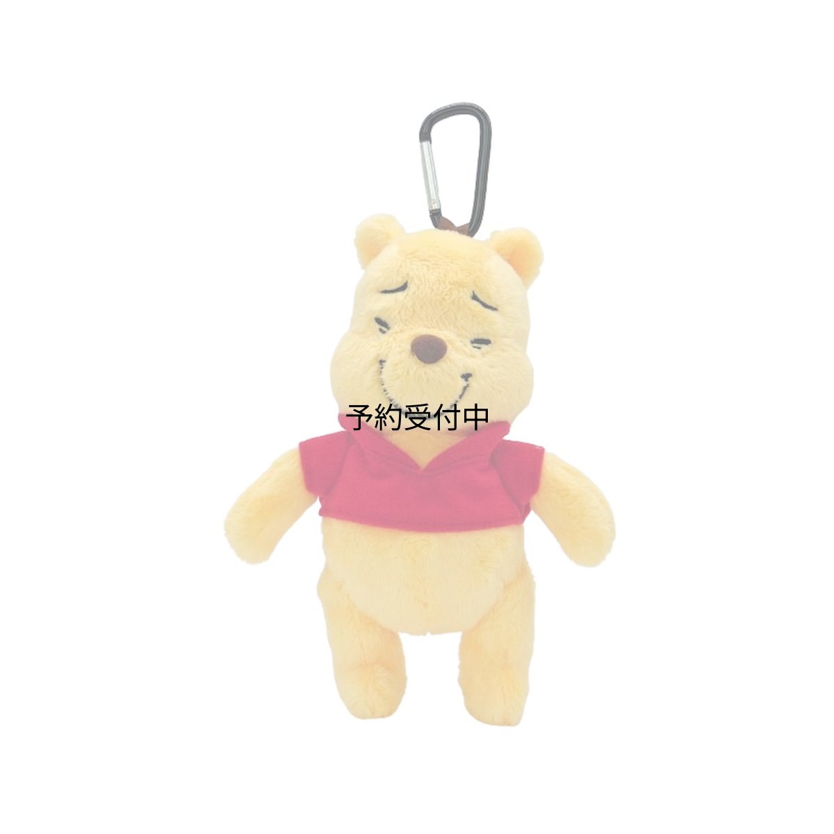画像1: ナカジマコーポレーション プーさん ぬいぐるみエコバッグ ファニーフェイス ２１７２１９?２５ (1)