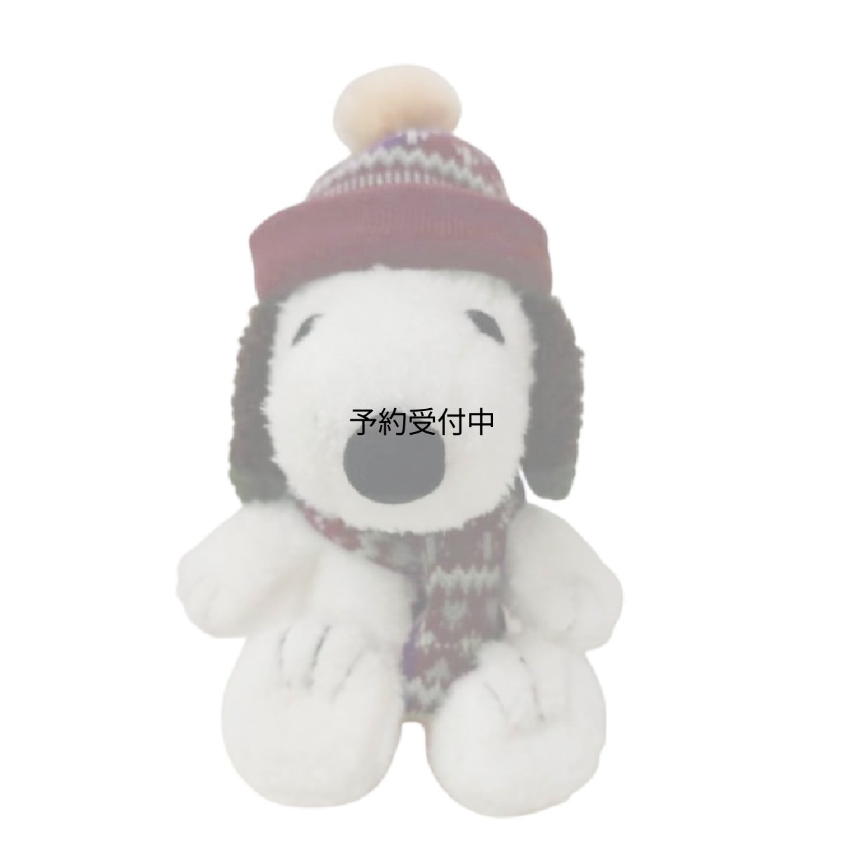 画像1: ナカジマコーポレーション ニットキャップ ＳＮ Ｓ ２１７５２３?２５ (1)
