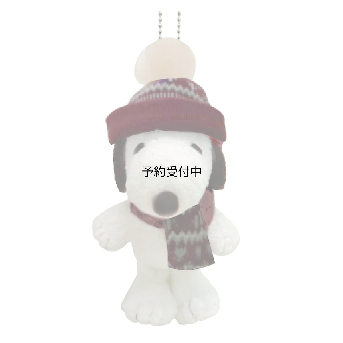 画像1: ナカジマコーポレーション ニットキャップ ＳＮ ＭＣ ２１７５４７?２５ (1)