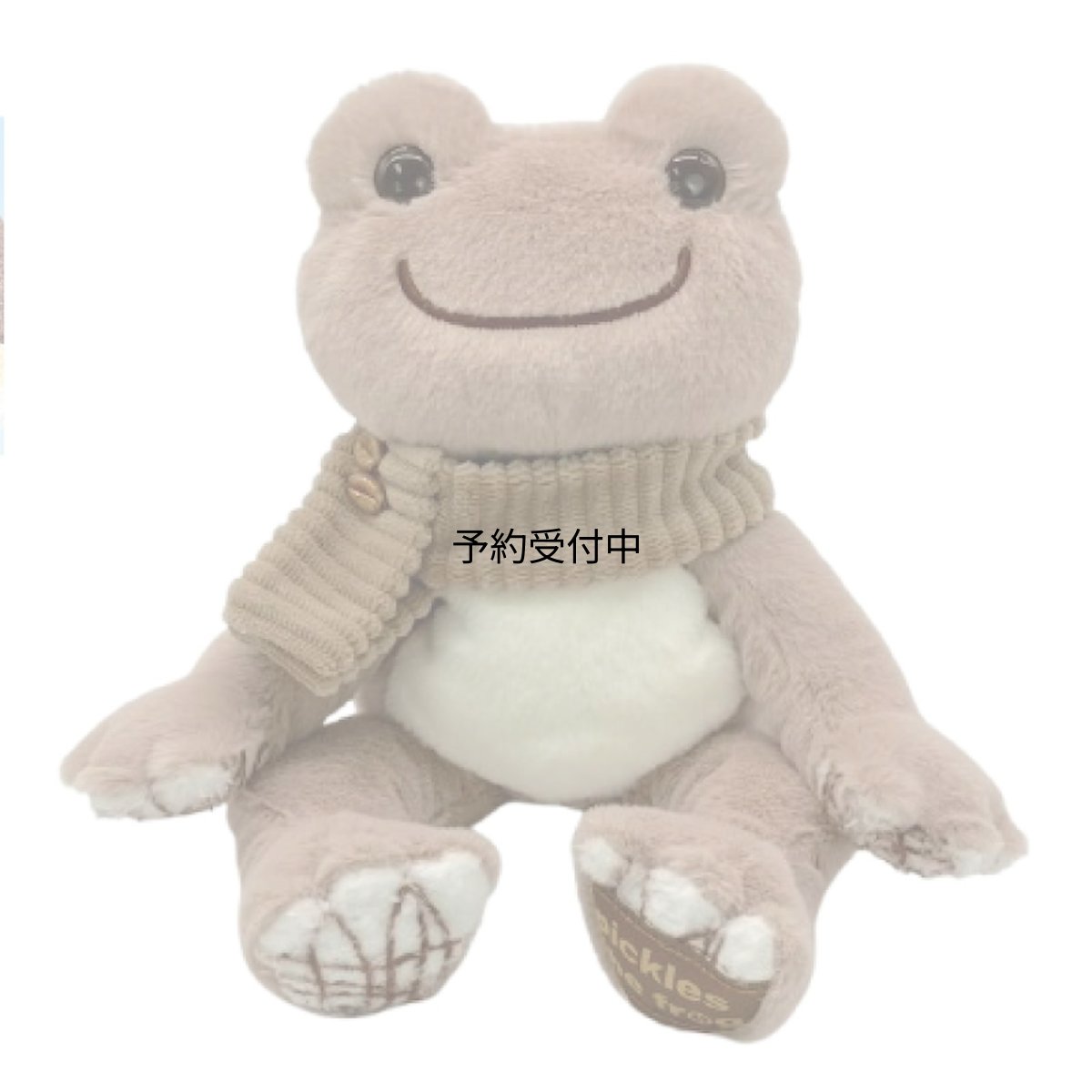 画像1: ナカジマコーポレーション ピクルス ａｌｗａｙｓ ｃｏｆｆｅｅ ＢＤ カフェモカ ２１８５９９?２５ (1)