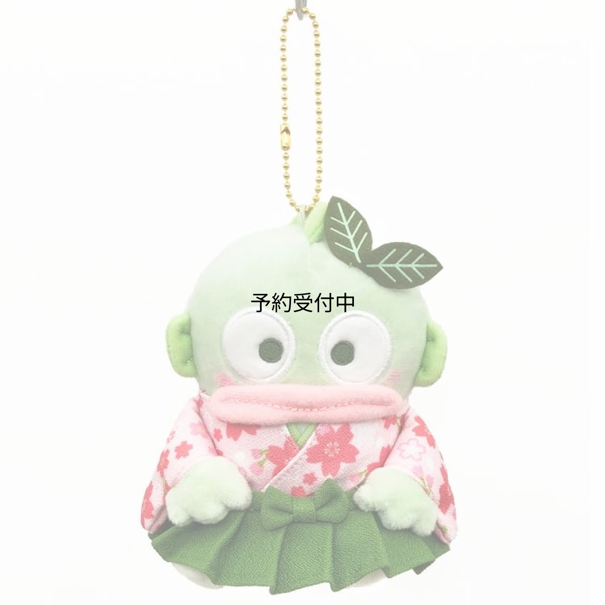 画像1: ナカジマコーポレーション 抹茶着物 ハンギョドン ＭＣ ２２０６４６?２６ (1)