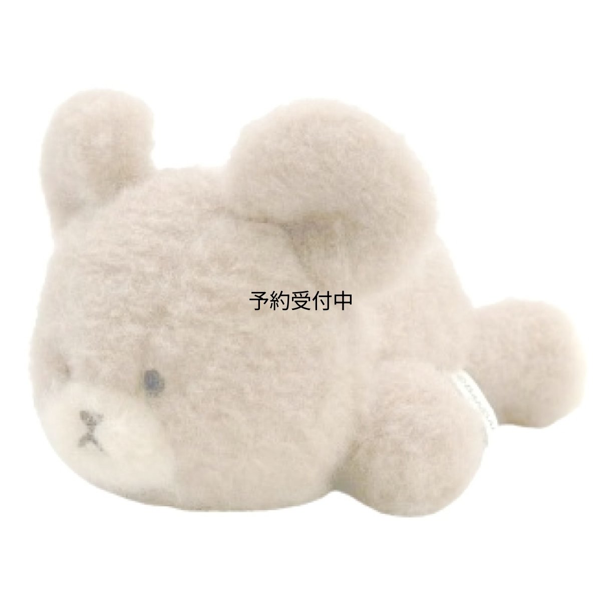 画像1: ナカジマコーポレーション ＫＧ ふわっとムードココア ぬいぐるみ ２２９９６０?２６ (1)