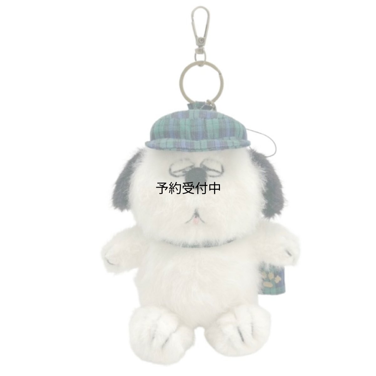 画像1: ナカジマコーポレーション ＰＥＡＮＵＴＳ スヌーピー マスコット チャーム ＯＬチェック柄 グリーン Ｈ１６．５×Ｗ１３×Ｄ８．５ｃｍ ２３１９４９?２６ (1)
