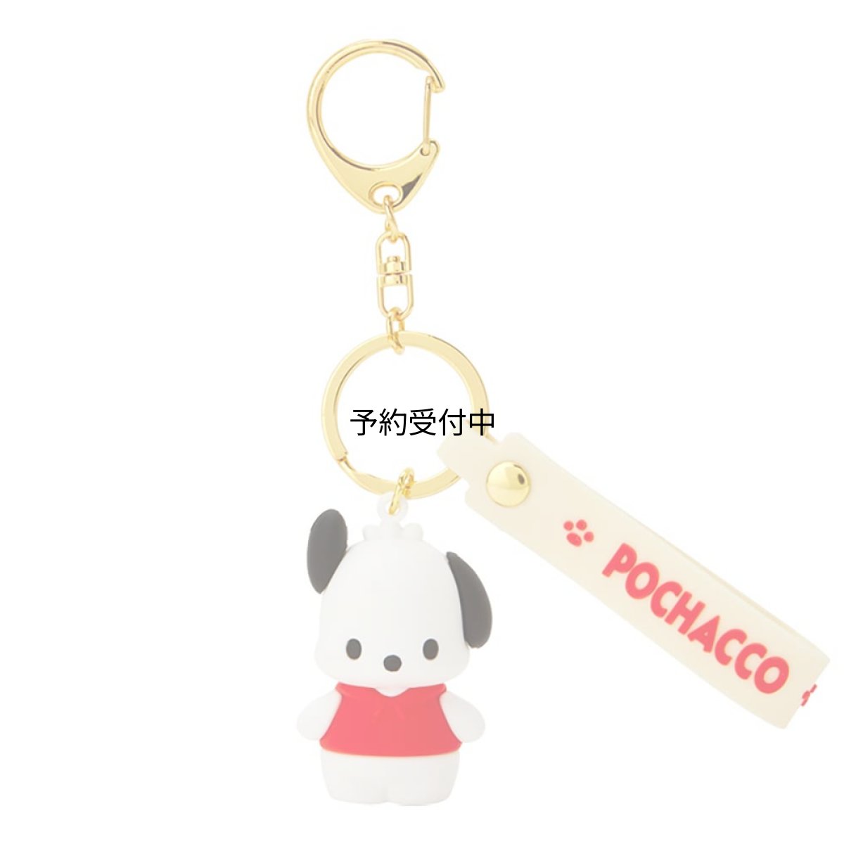 画像1: サンリオ（ＳＡＮＲＩＯ） ポチャッコ 立体キーホルダー １０２９１１ (1)