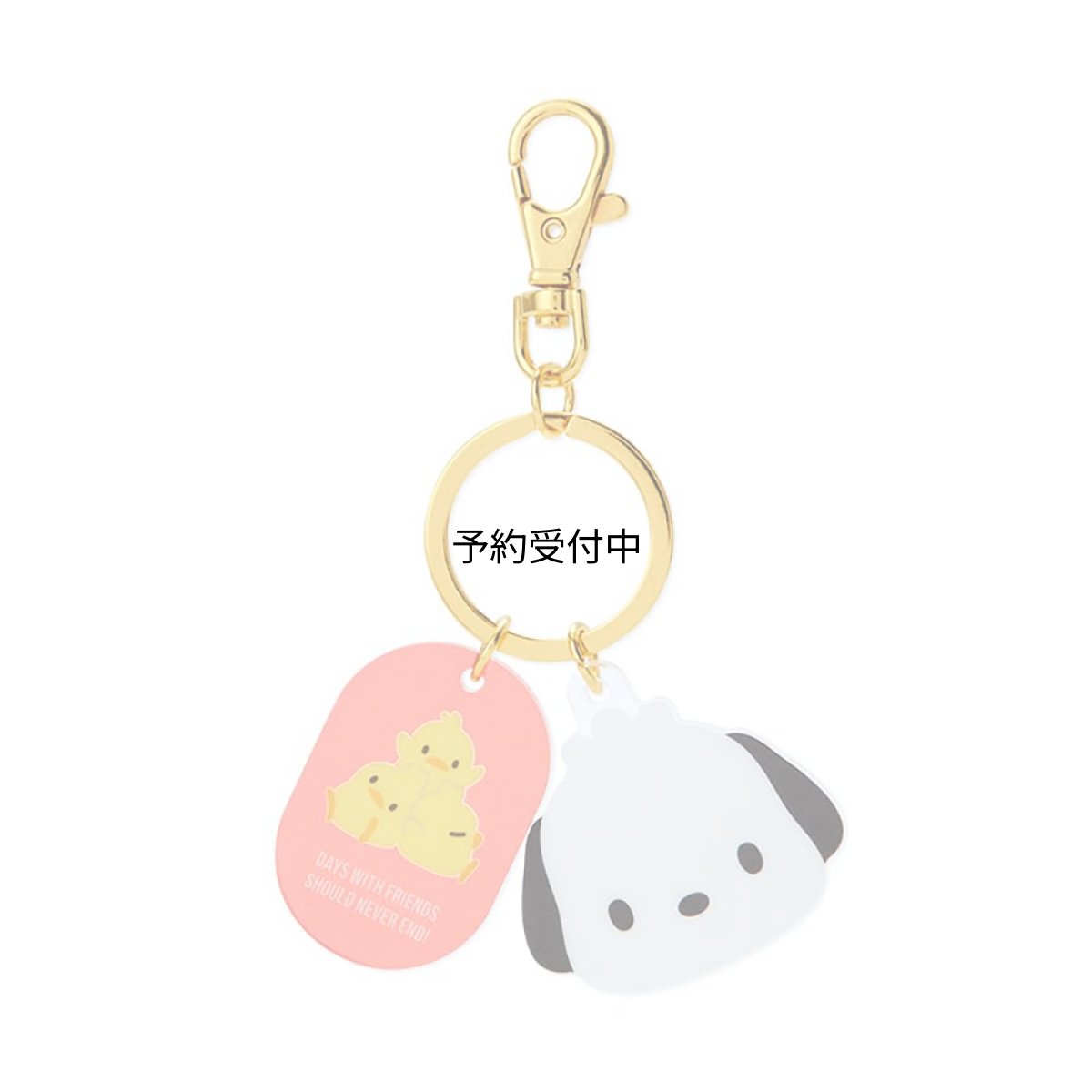 画像1: サンリオ（ＳＡＮＲＩＯ） ポチャッコ フェイス形キーホルダー ９０９０２５ (1)