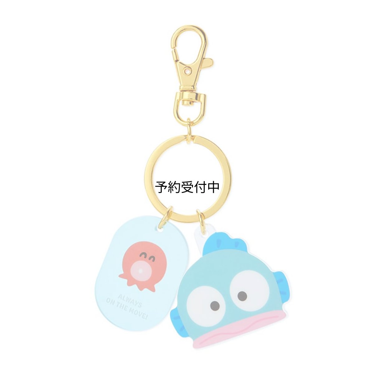 画像1: サンリオ（ＳＡＮＲＩＯ） ハンギョドン フェイス形キーホルダー ９１３２６０ (1)