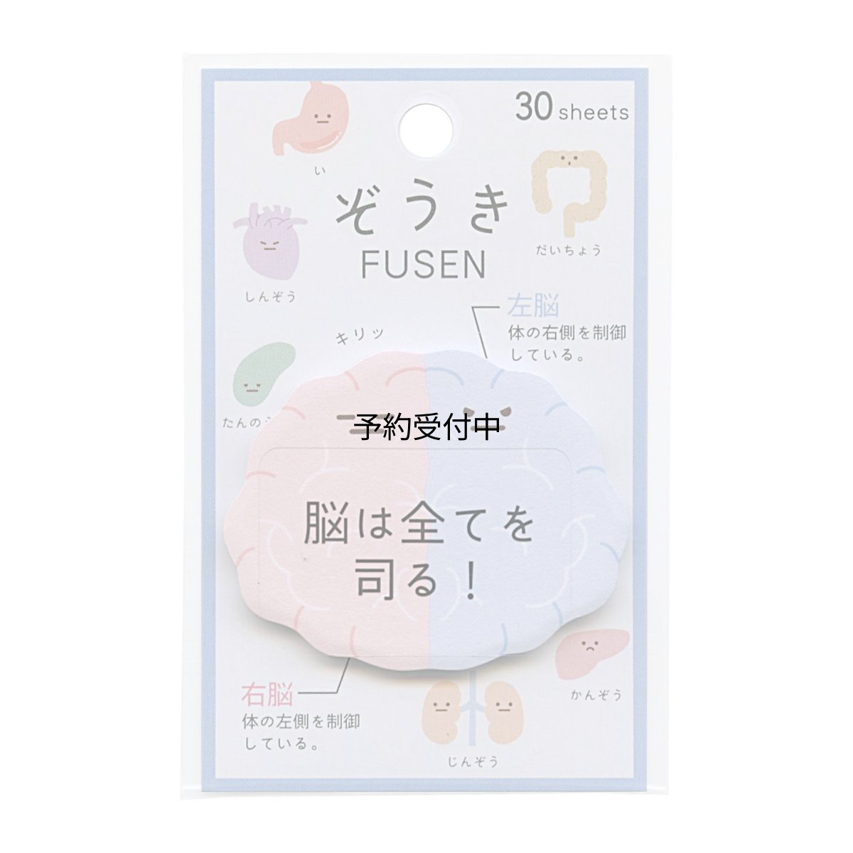 画像1: 付箋ぞうき ダイカット ふせん臓器 脳 カミオジャパン 新学期準備雑貨 おもしろ文具 グッズ 通販 ６２ｘ７５ｍｍ (1)
