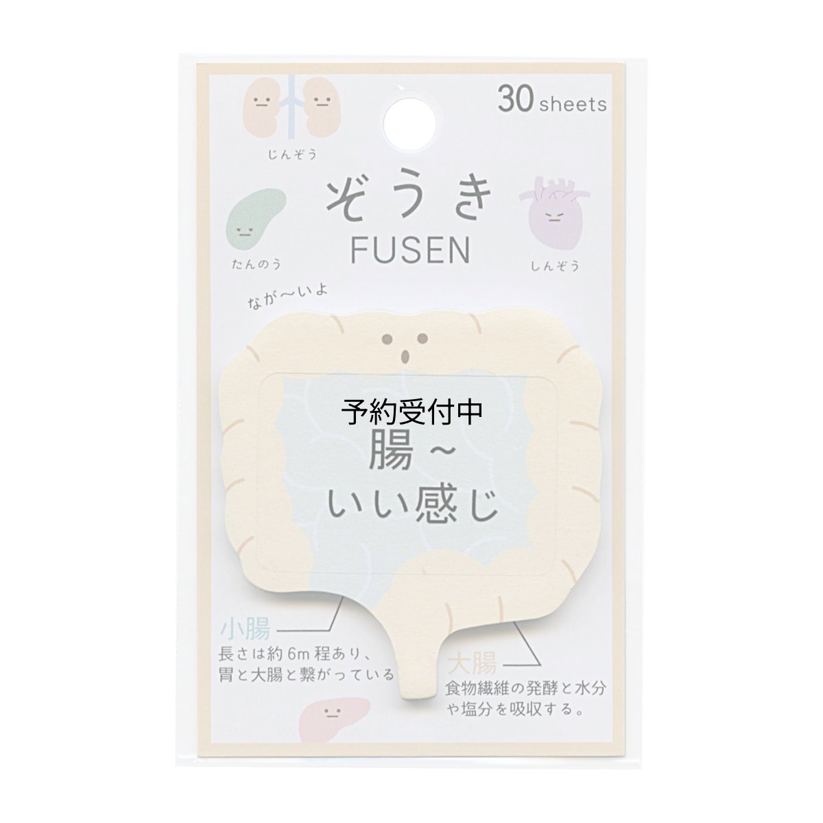 画像1: ぞうき ふせん ＦＵＳＥＮ腸ゆるい 臓器 ２０３４０１ (1)