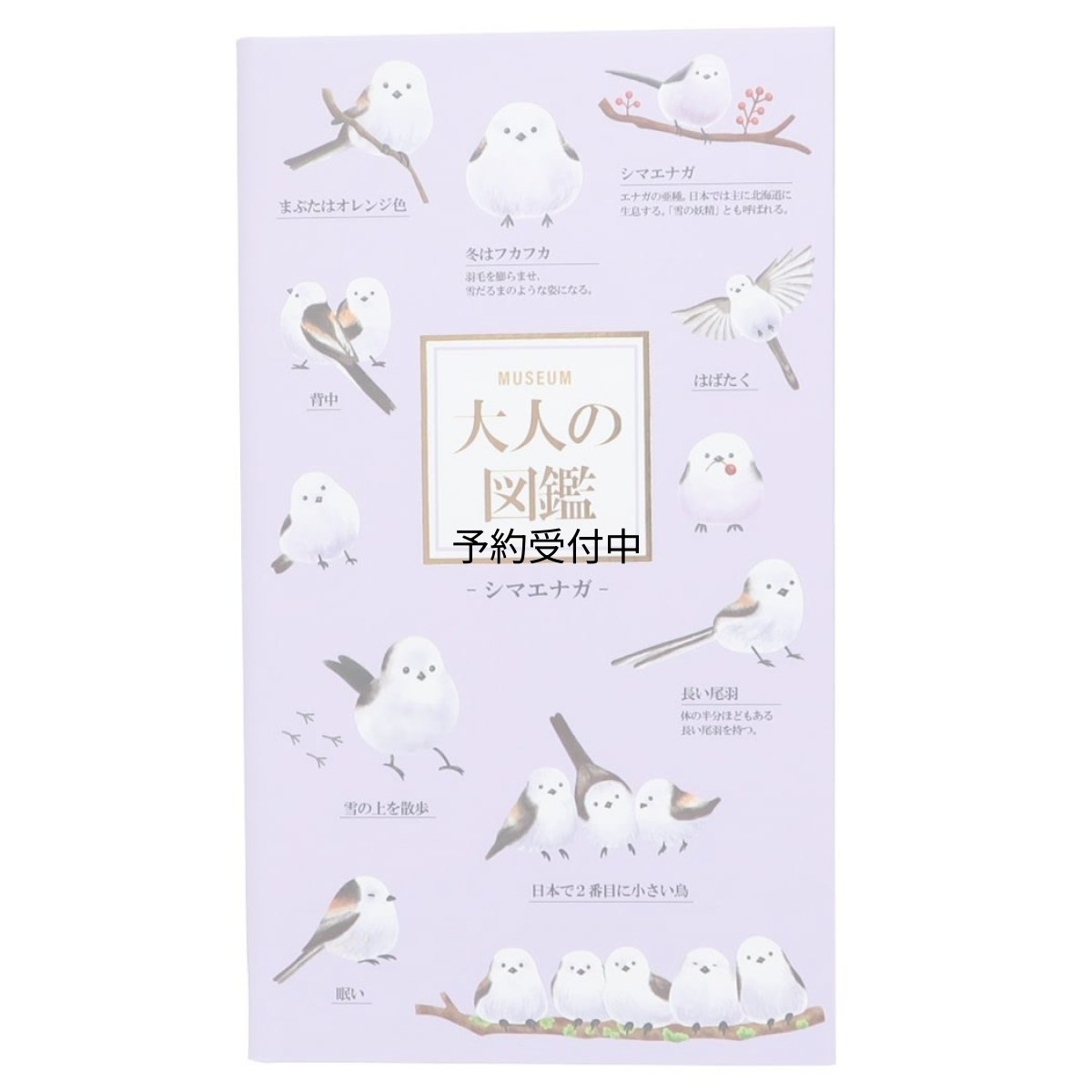 画像1: 大人の図鑑ノート手帳ノート シマエナガ カミオジャパン 新学期準備文具 おもしろ文具 グッズ 通販 (1)