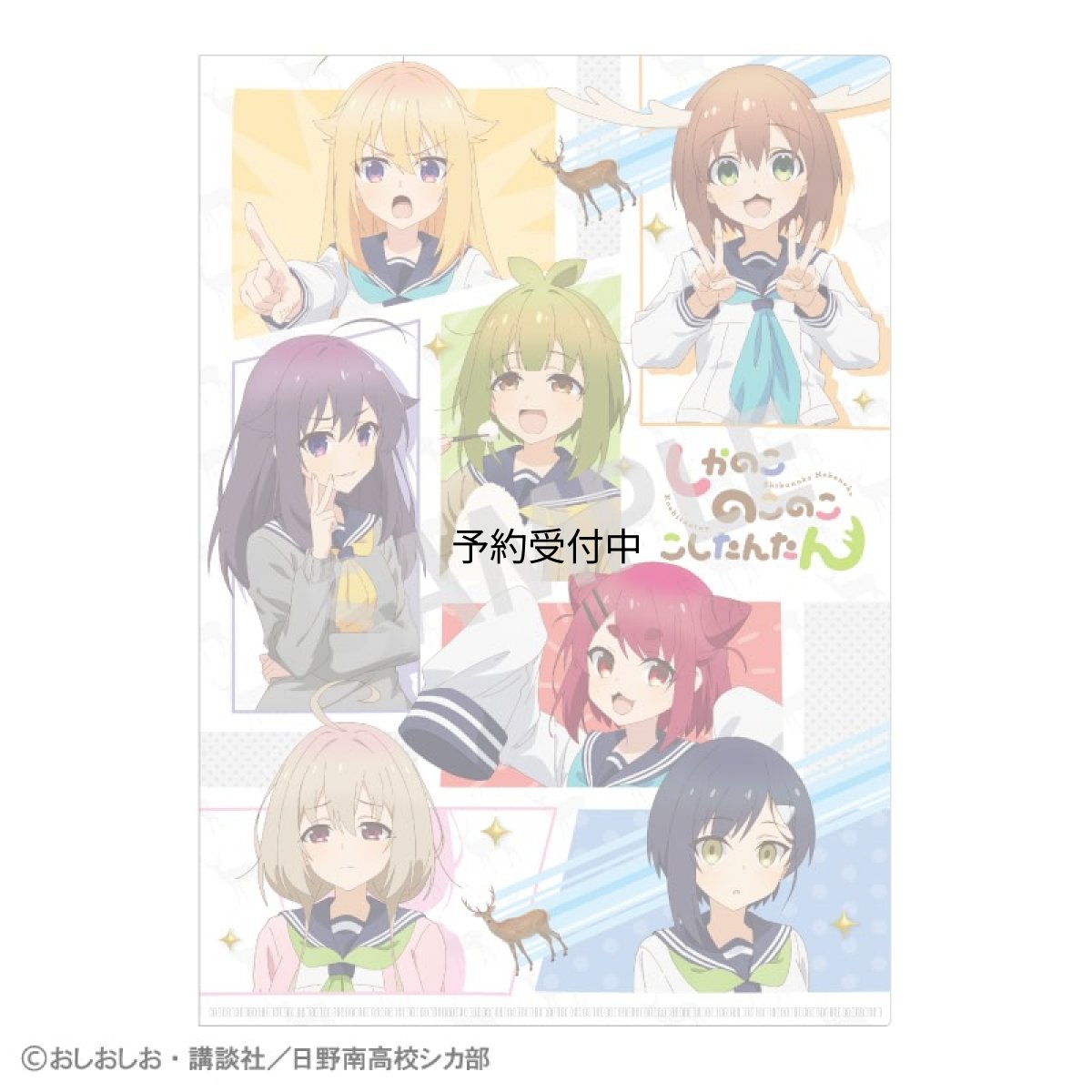 画像1: 公式しかのこのこのここしたんたん Ａ４シングルクリアファイル Ａ ｃｏｌｌｅｉｚｅ 公式グッズ 公式ライセンス (1)