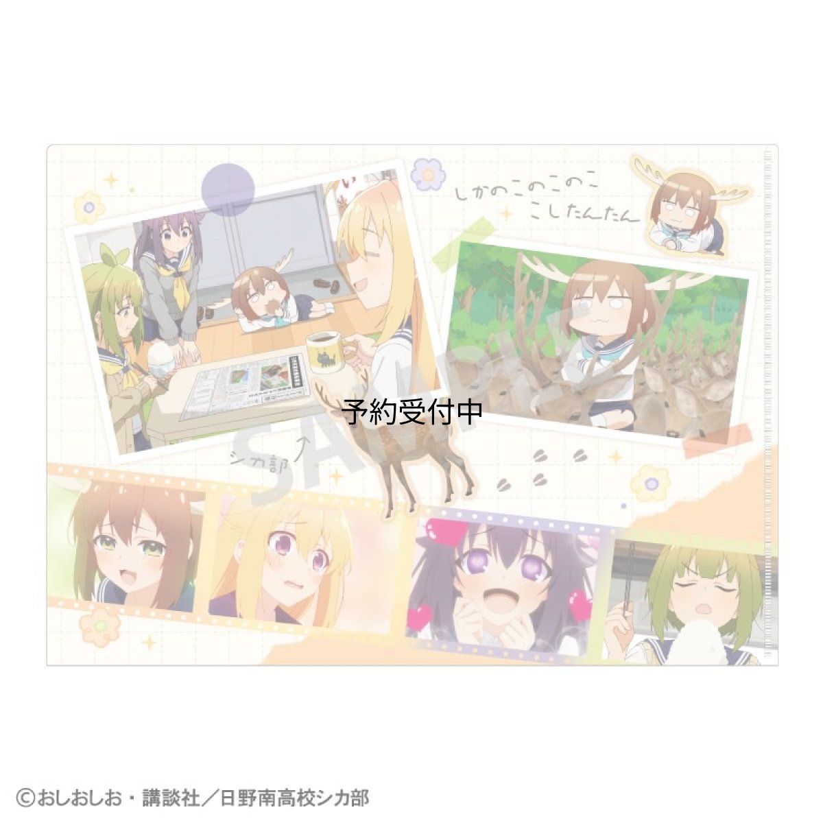 画像1: 公式しかのこのこのここしたんたん Ａ４シングルクリアファイル Ｂ ｃｏｌｌｅｉｚｅ 公式グッズ 公式ライセンス (1)