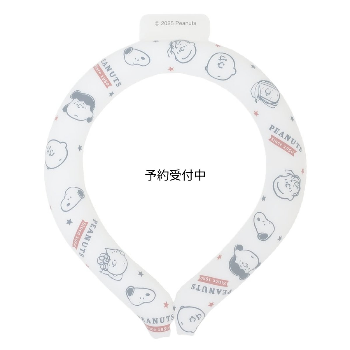 画像1: スヌーピー夏用クールネックアイスループ ＩＣＥ ＬＯＯＰ Ｍサイズ Ｅｖｅｒｙｏｎｅ ｉｓ ｆｒｉｅｎｄｓ ピーナッツ (1)