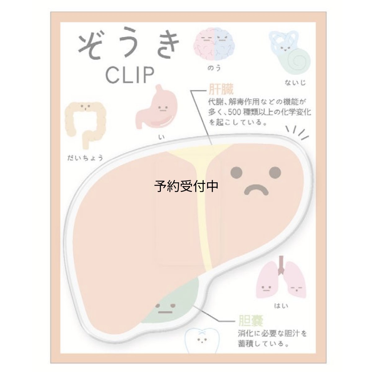 画像1: カミオジャパン ぞうき クリップ 肝臓 はさむ ダイカット ２６１４８８ (1)