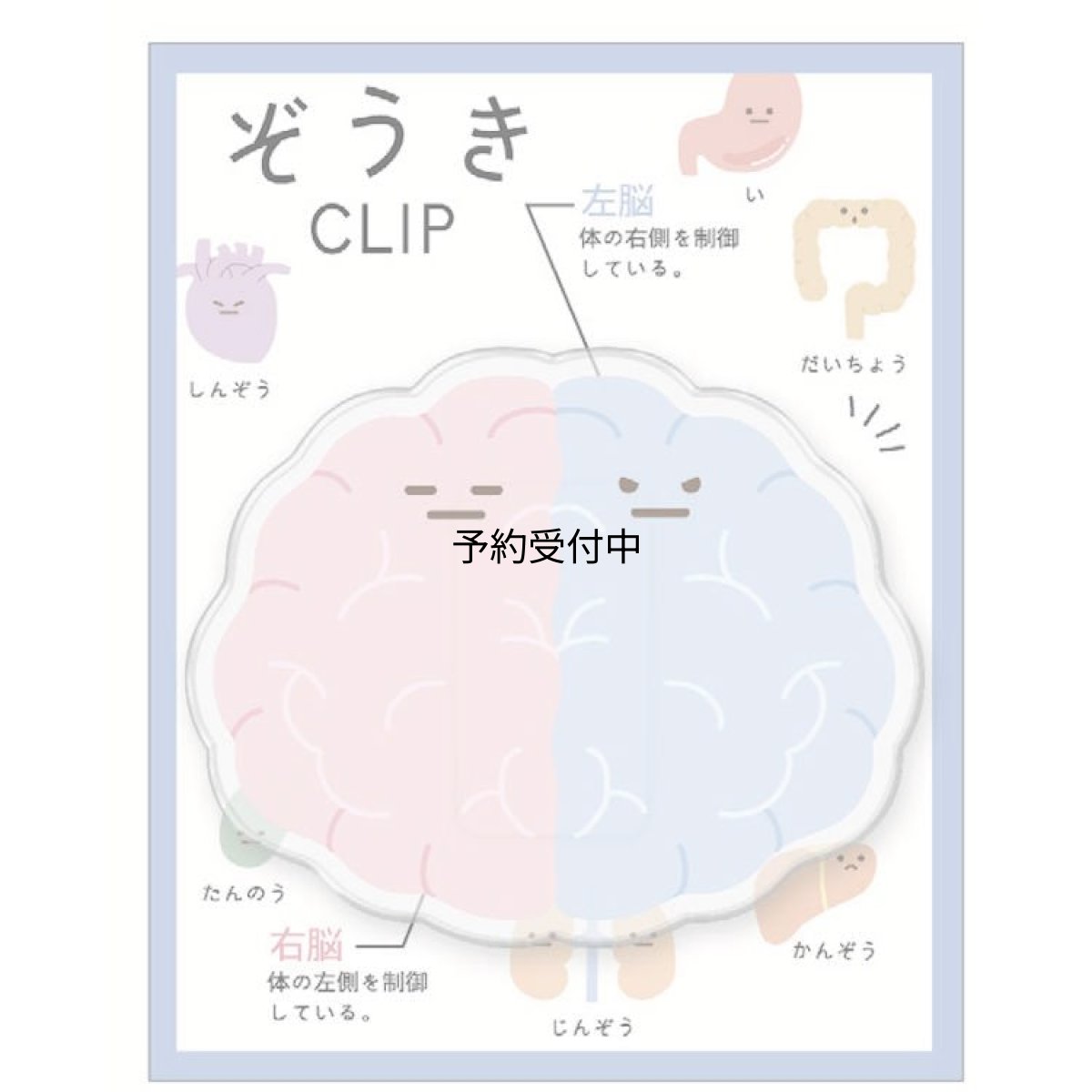 画像1: カミオジャパン ぞうき クリップ 脳 はさむ ダイカット ２６１４９５ (1)