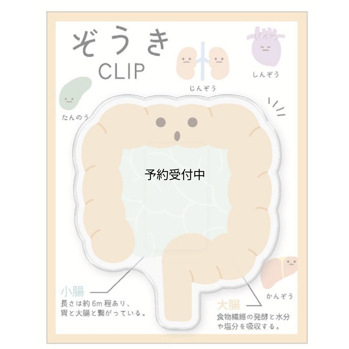画像1: カミオジャパン ぞうき クリップ 腸 はさむ ダイカット ２６１５１８ (1)