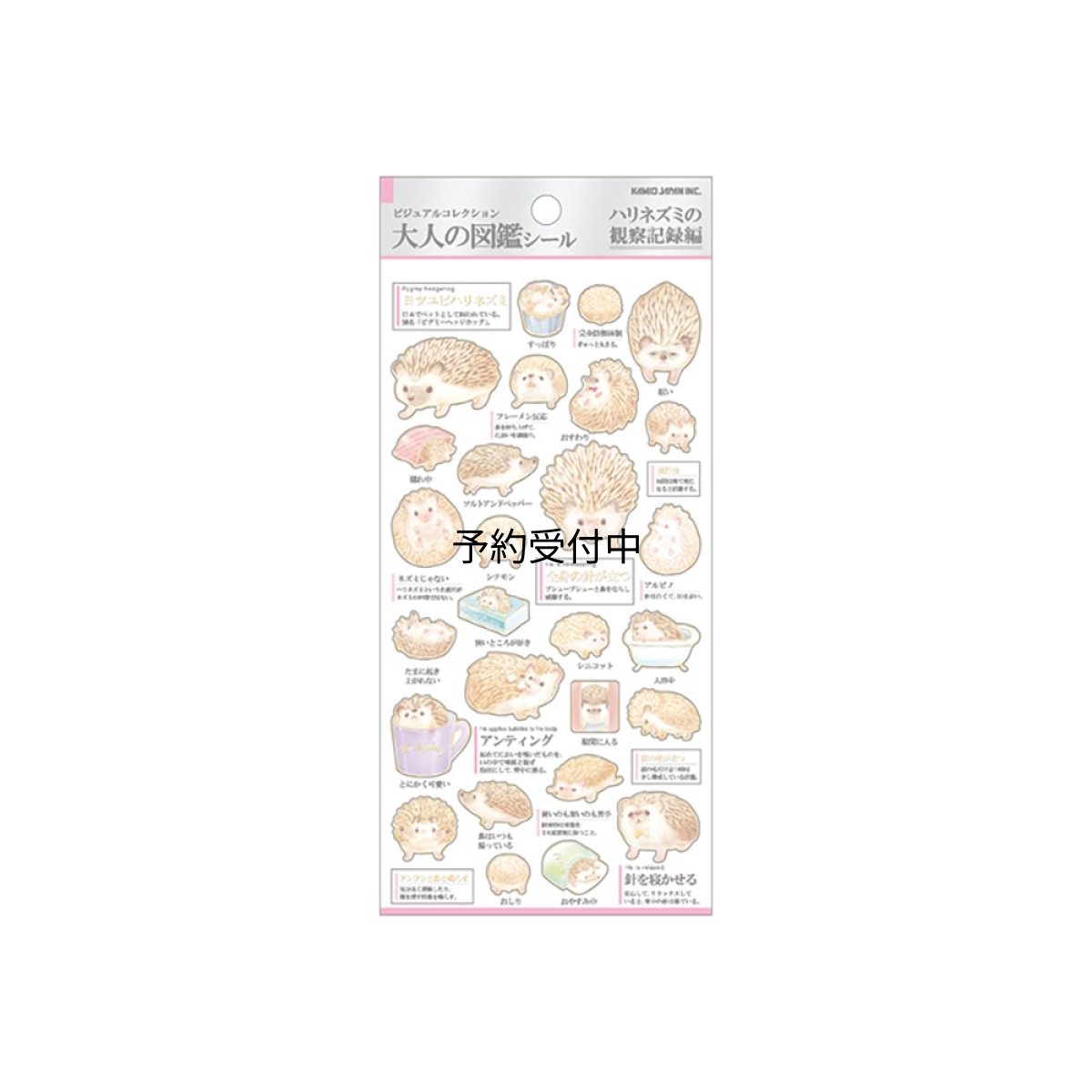 画像1: カミオジャパン シール 大人の図鑑シール ハリネズミの観察記録 ２２６３１９ (1)